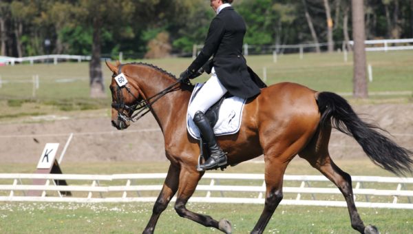 Maxime Livio 1er à l’issue du dressage